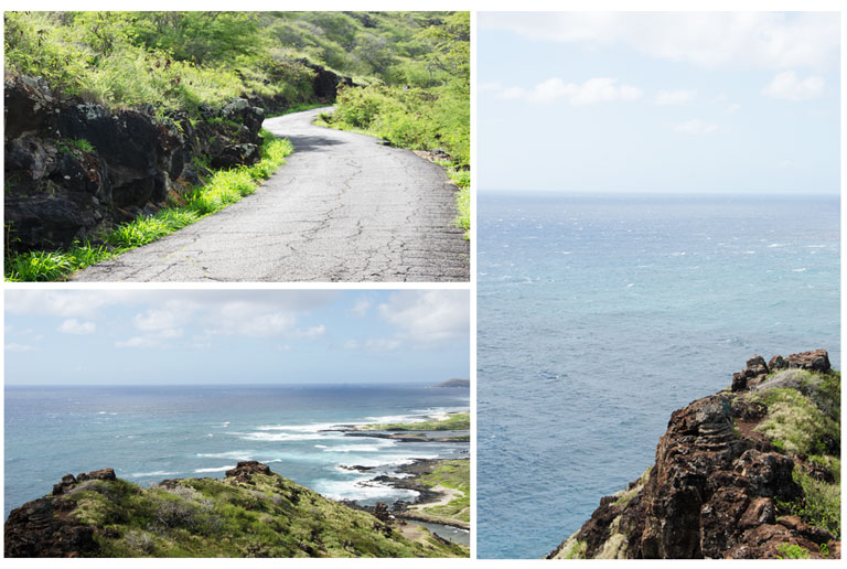 Makapuu-Point-Lighthouse-Trail17