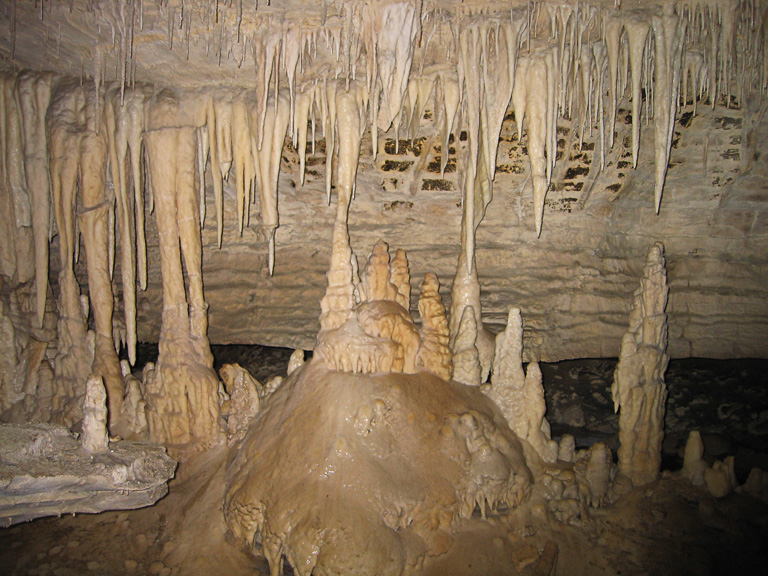 Glowworm Caves Te Anau (11 of 45)